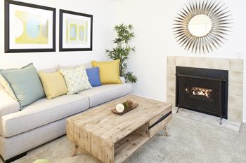 Gas fireplaces